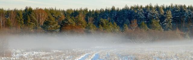Oodatakse ettepanekuid nitraaditundliku ala tegevuskavale