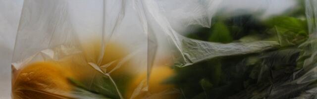 Euroopa Liit vähendab ühekordsete pakendite kasutamist