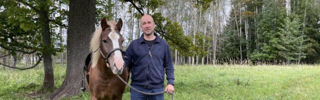 Murrangulised kullerpeptiidid