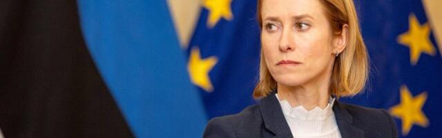 Mike Calamus > Digitaalse ime sünd