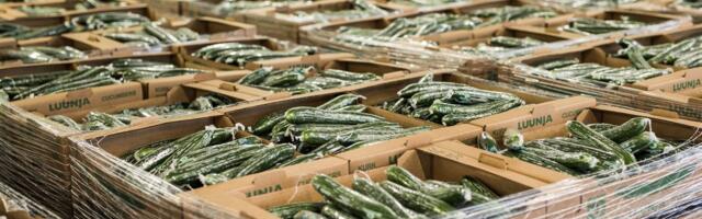 Klient maksis Bolt Foodi rakenduses ühe Luunja kurgi eest üle seitsme euro