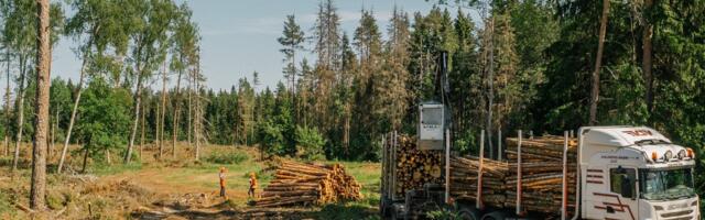Metsaomanik vajab selgeid reegleid, mitte lõputuid vaidlusi