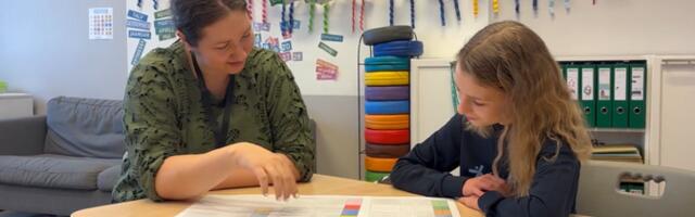 Viis uut kooli soovib sügisel uksed avada