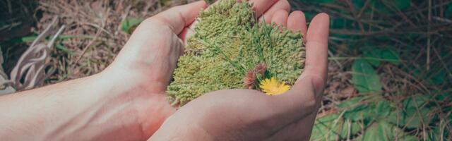 Linnujämmi laval Emajõe Lodjakojas astuvad üles linnud, muusikud ja sõnakunstnikud