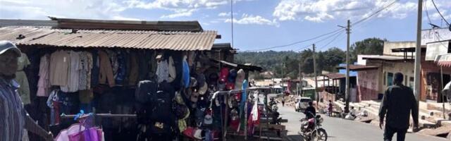 Elasid kord pusa, käekott ja toss, kes ei surnudki ära