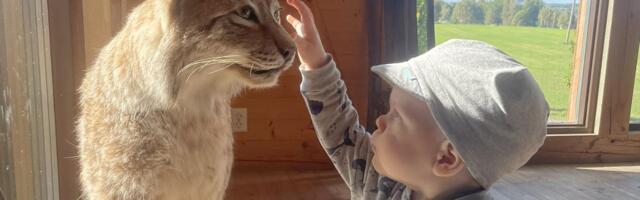 Metsarahvapäev toob taas rahva Kotkapessa