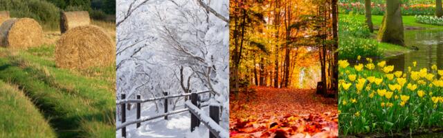 Vali üks maastikupilt ja avasta hämmastav tõde oma isiksuse ja tunnete kohta