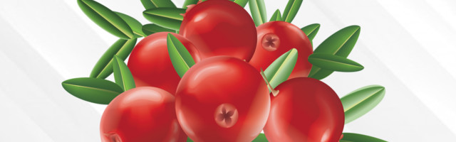 Fraktsiooni “Jõhvi Meie kodu” oluline otsus