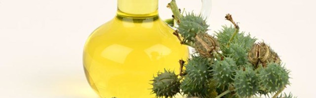 Ajatu. Miks varuda ravimikappi riitsinusõli