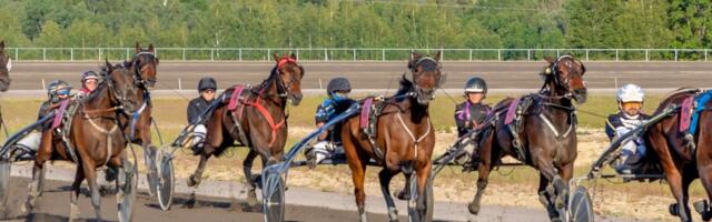 Dopingujuhtum hipodroomil. Leedu treener ja hobune jäid Eestis vahele keelatud aine ja ravimeetodiga
