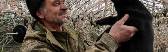 Sõda Ukrainas on pööranud koerte hulgas evolutsiooni tagasi_ NYT kirjutas teadlaste kõhedast leiust