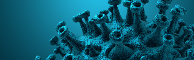 19. detsember: ööpäevaga lisandus 561 koroonapositiivset