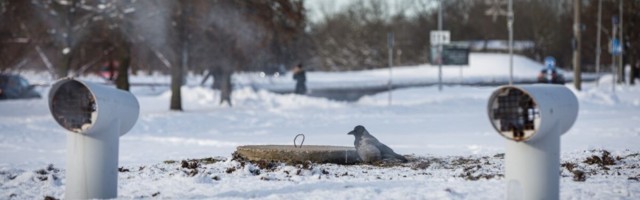 Tallinna Soojust võib oodata hiigelarve energiakontsernilt Utilitas