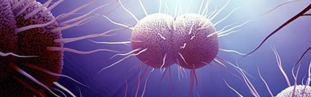 Tripper vandus koroonale alla: suletud ühiskond võttis suguhaigustelt võimaluse