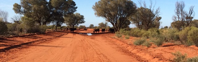 Augusti eksklusiiv Elisa Raamatus: tume ja mahlakas mõrvamüsteerium keset Austraalia tühermaad