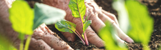 Raamatuarvustus. Tiina Kaukvere: vana maailma inimese lõpuvõitlus. “Tulevik on meie teha”