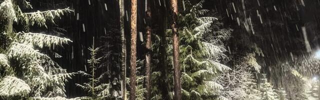 TORMIBLOGI | Tuulepuhangud ulatuvad üle 20 m/s, tormi haripunkt on möödas