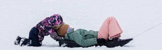 Suvi ja talv said jaanuaris kaksikvõidu