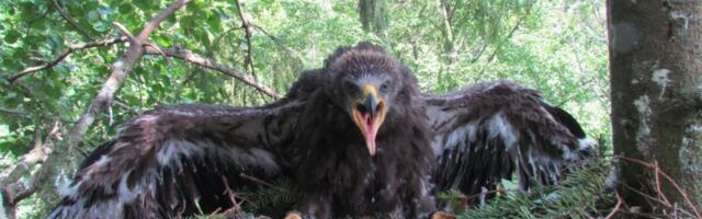 Valitsus likvideeris Viljandimaal asunud Oja liigikaitseala