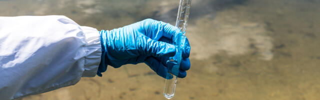 Reovesi viitab jätkuvalt koroonaviiruse laialdasele levikule