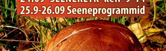 Seenepäevad Valga Muuseumis