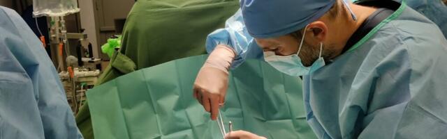 Maaülikooli loomaarstid tegid hobusele eduka operatsiooni Wobbleri sündroomi raviks