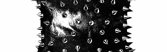 Kaaperdatud ärksus. Woke’i-vastasest diskursusest Eesti ajakirjanduses