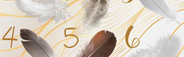 Vali üks sulg ja vaata, millise olulise sõnumi universum sulle praegu saadab