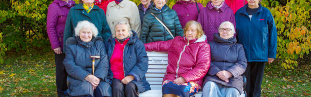 Roolipiigad said enda nimelise pingi