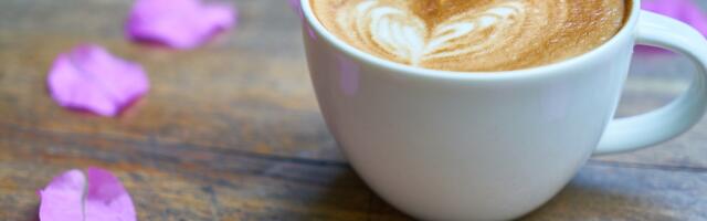 Tahaks aega maha võtta? Vaata, kuhu minna märtsikuus?