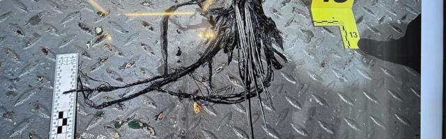 VIIS KÜSIMUST | Kui lähedale viib sidekaablite lõhkumine riigi kokkuvarisemisele?