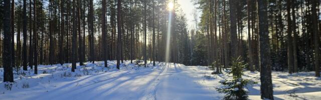 48. Alutaguse Maratoni rada kulgeb üle kolme jäätunud järve