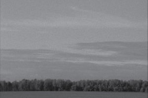 Taavi Talve näitus Tartu Kunstimajas