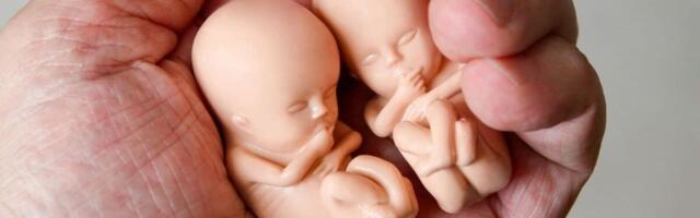 USA-s hukati 2025. aastal üle 1,1 miljoni sündimata lapse