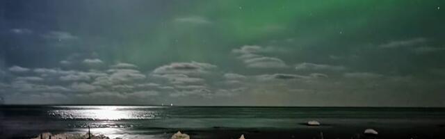 Liivi Leppik NÄDALA FOTO