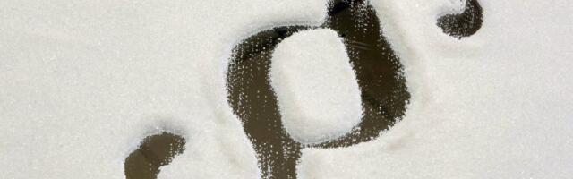 Imbi Jürgen: Eesti rikub teadlikult inimeste õigust advokaadi tõhusale kaitsele