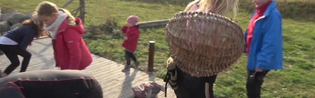 Reporter käis Väinamere seenekruiisil kuuseriisikaid korjamas