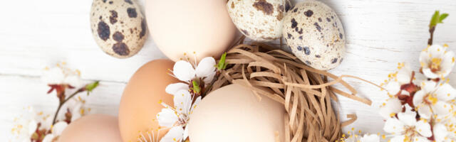 Suure nädala suured küsimused