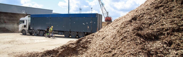 Kivisüsi: kütus, mida me nüüd ignoreerime, aga mida me ei saa asendada