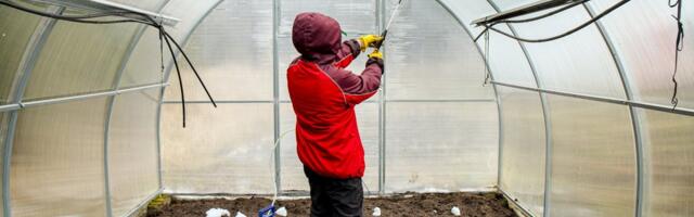 Seame kasvuhoone talvituma