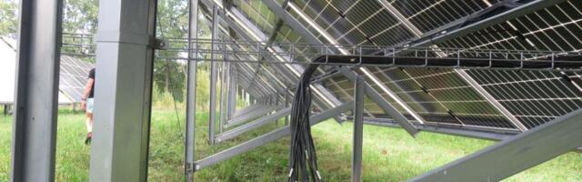 FOTOD | Poiste eluohtlik koerustükk läks vanematele maksma pea 12 000 eurot