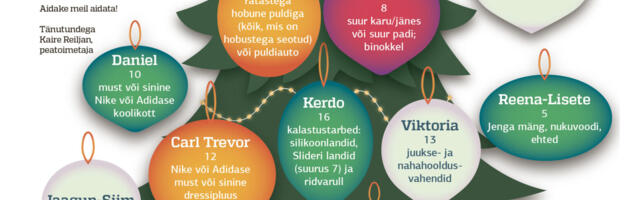 Heategevusprojekt LE jõulupuu 2024