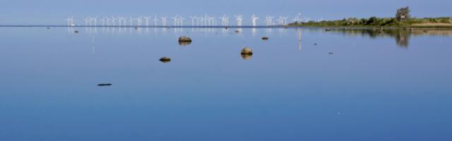 Maailma suurimad varahaldusettevõtted ja pangad loobuvad "jätkusuutlikest eesmärkidest"