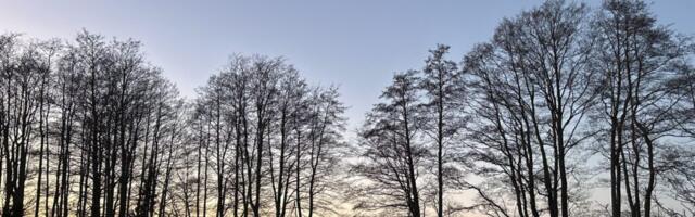 AHTO ILMAJUTUD | Külmakraadid jäävad püsima