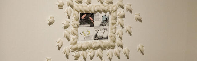 Uus näitus: tuhat koolnukahvatut konna Haapsalu linnagaleriis