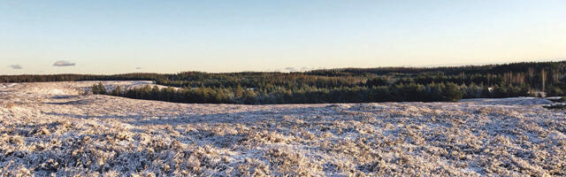 Kas Harjumaal on oma Nursipalu?