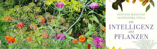 MÕTTEID AIAST⟩ KAS TAIMEDEL ON TEATUD INTELLIGENTSUST?