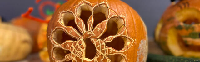 TALLINNA LOOMAAED ALUSTAB SÜGISVAHEAEGA SUURE KÕRVITSAPEOGA