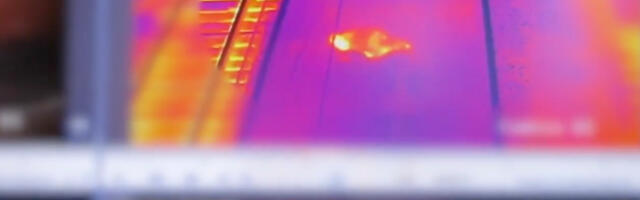 VIDEO: Valgevenes avastati ameeriklane, kes üritas kaubavagunis riiki siseneda