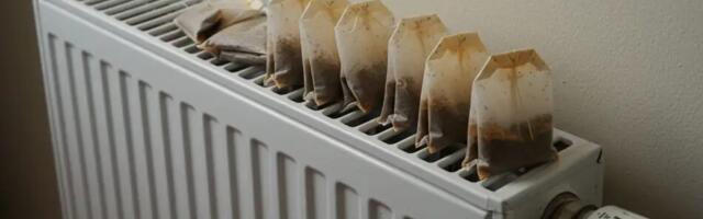 Teekottide radiaatorile asetamine on raha säästmise nipp.